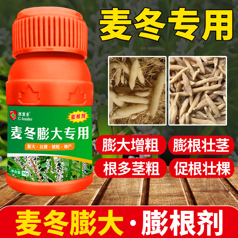 麦冬膨大素剂增产增收中药材