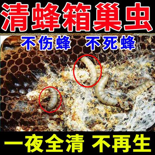 蜂箱干净中蜂长虫强效白头膏药