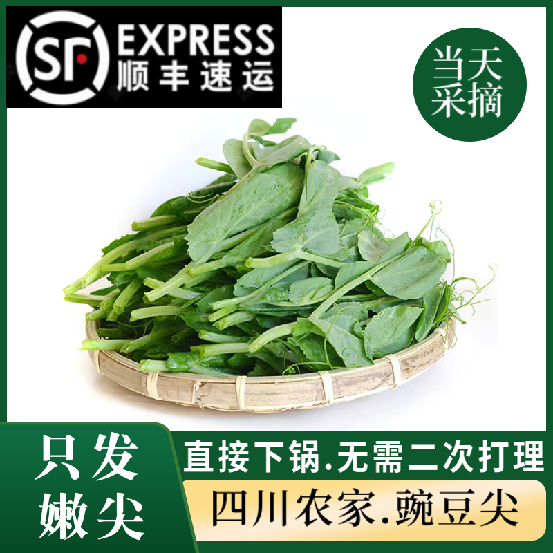 顺丰四川新鲜豌豆尖应季蔬菜现摘