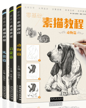 区域包邮  安徽美术 零基础素描教程（全四册）：素描动物+启蒙篇+速写风景+静物篇 写实手绘素描教程初级入门绘画教材初学