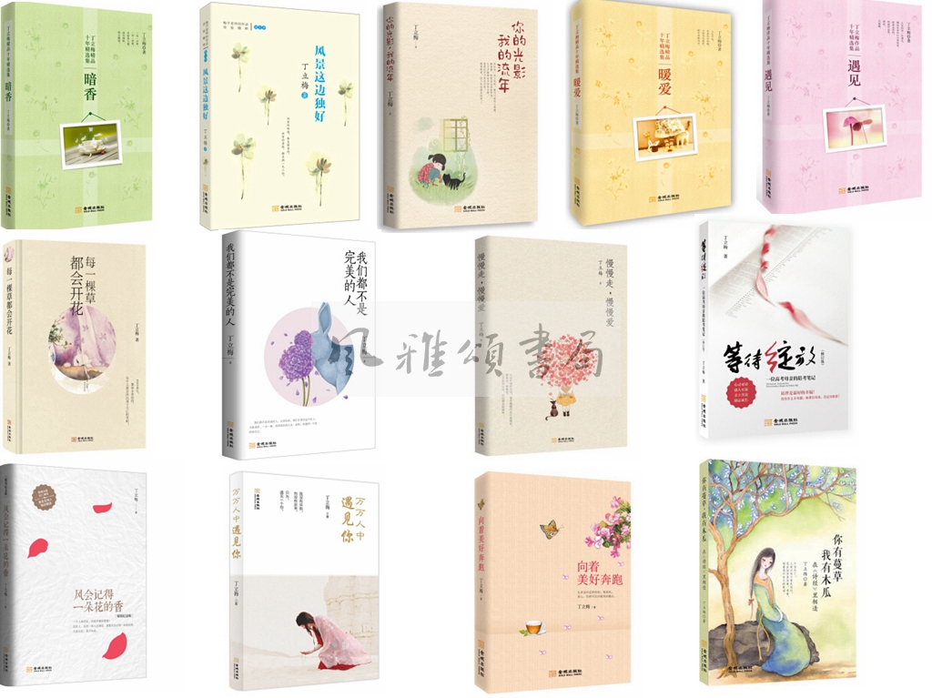 金城 丁立梅作品(全十三册):风会记得一朵花的香+暖爱+遇见+暗香+每一棵草都会开花+向着美好奔跑+万万人中遇见你+等待绽放等