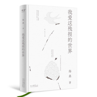 世界 区域 我爱这残损 果麦 海桑 包邮