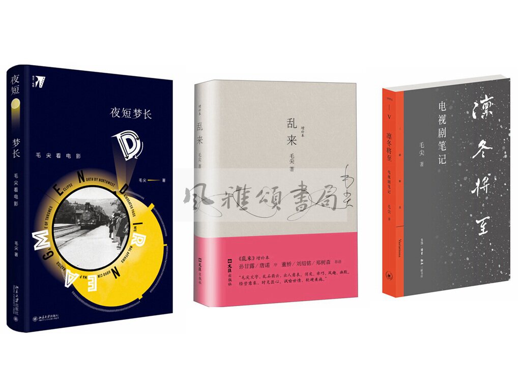 毛尖作品（全三册）凛冬将至电视剧笔记+乱来增补本+夜短梦长毛尖看电影  北京三联  北京大学  文汇