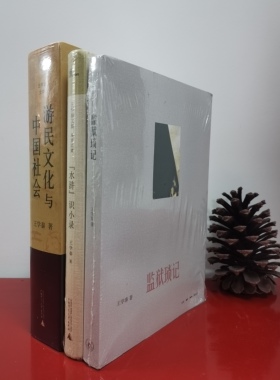王学泰文集（全三册）游民文化与中国社会+水浒识小录+监狱琐记  广西师范大学  三联书店
