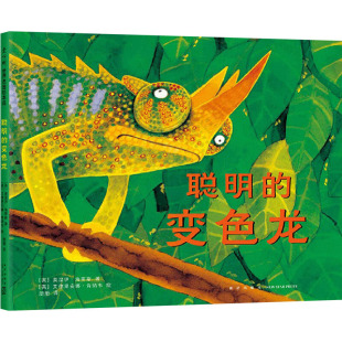 包邮 英 爱心树 变色龙 莫温伊·海蒂斯 爱心树世界杰出绘本选：聪明 区域