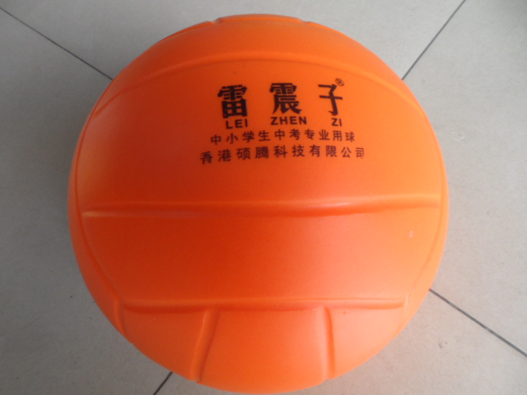 Ballon de volley - Ref 2009679 Image 3