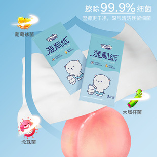 2片独立包装湿厕纸擦屁股厕巾湿手纸婴儿成人便携装卫生护理湿巾