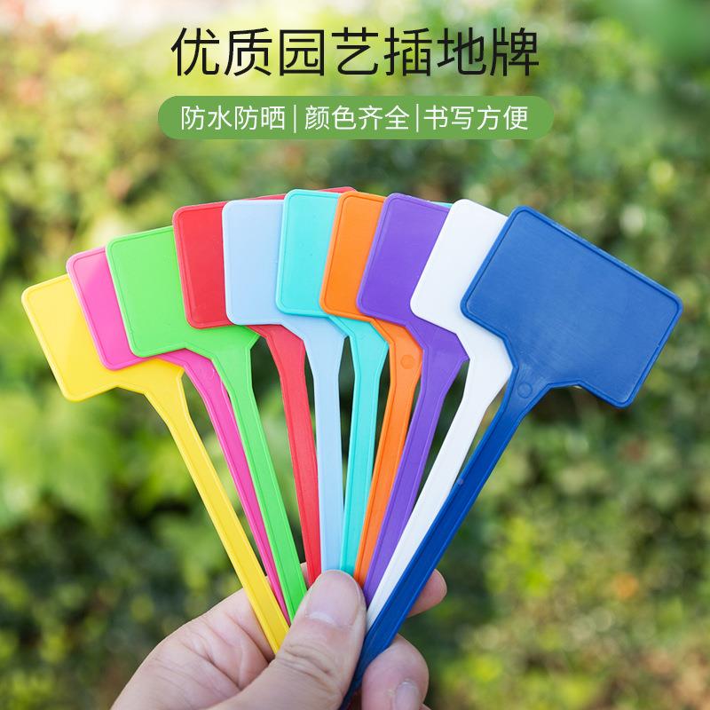 5代P塑料园艺标5005P签绿植标牌记花牌农业植物卉标签盆栽可书写图片