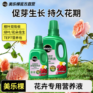 美乐棵营养液蓝雪花金露花矮牵牛肥料浓缩花肥盆栽植物花卉专用型