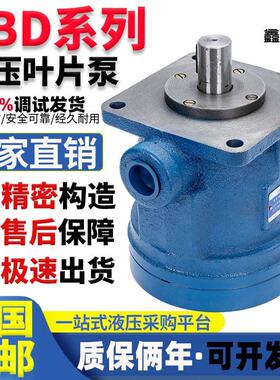 液压YBD叶片泵YBD-10 YBD-6/16/20/25/40/50/80/100油泵总成泵头/