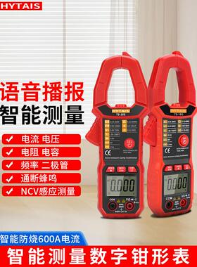 泰盛智能防烧钳形电流表Ts18电工万用表数字高精度电流表自动钳形