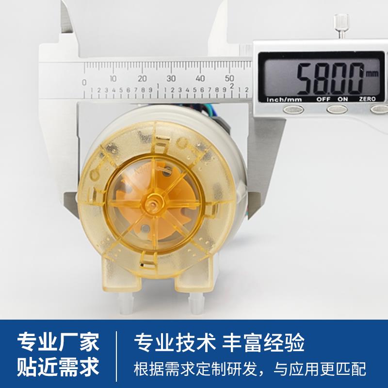 104KA/ZL24v直流电机易安装蠕动泵小流量低脉冲微量计量泵洗涤泵