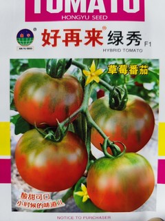 【绿秀草莓柿子60粒左右】铁皮柿子水果番茄