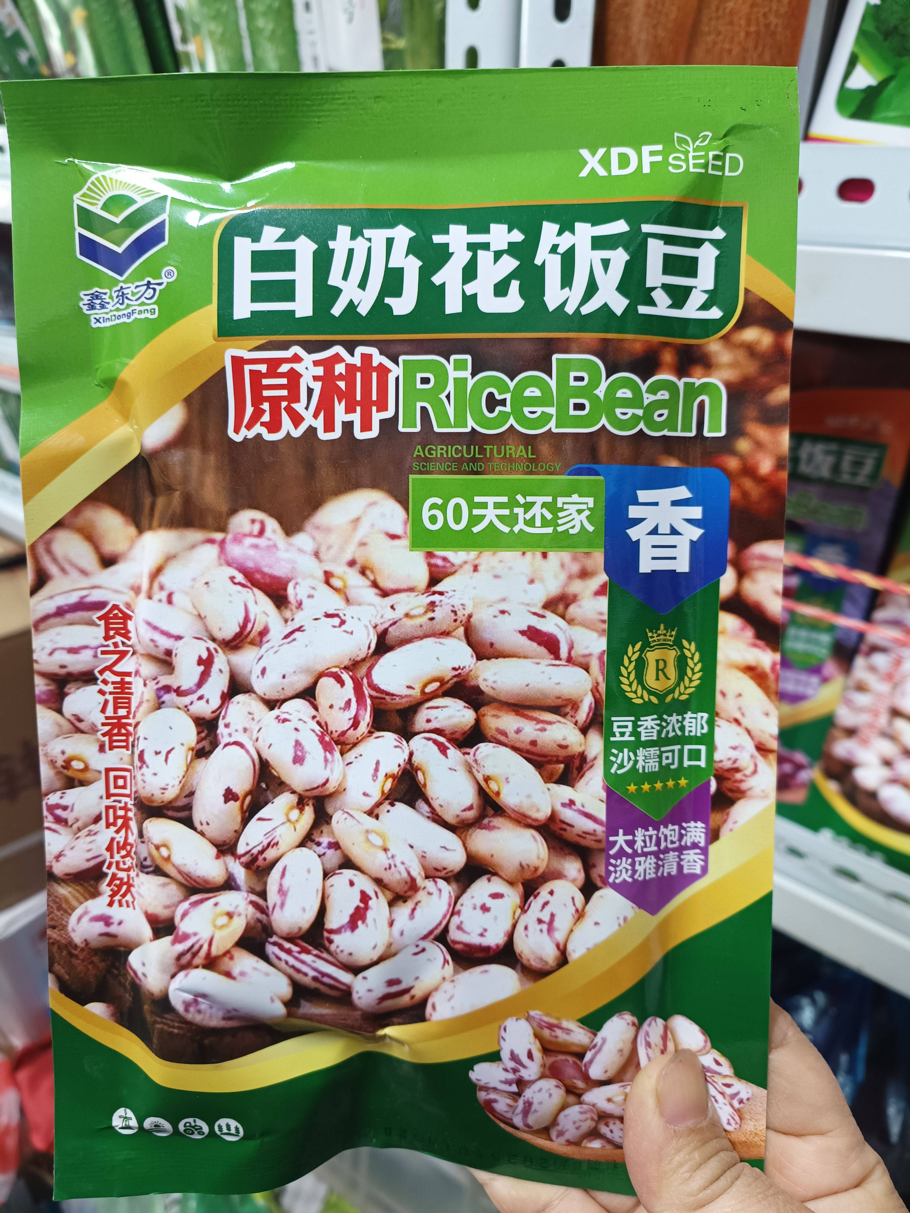 【奶白花饭豆种子】新籽不搭架东北饭豆种子腰豆芸豆种子60天还家