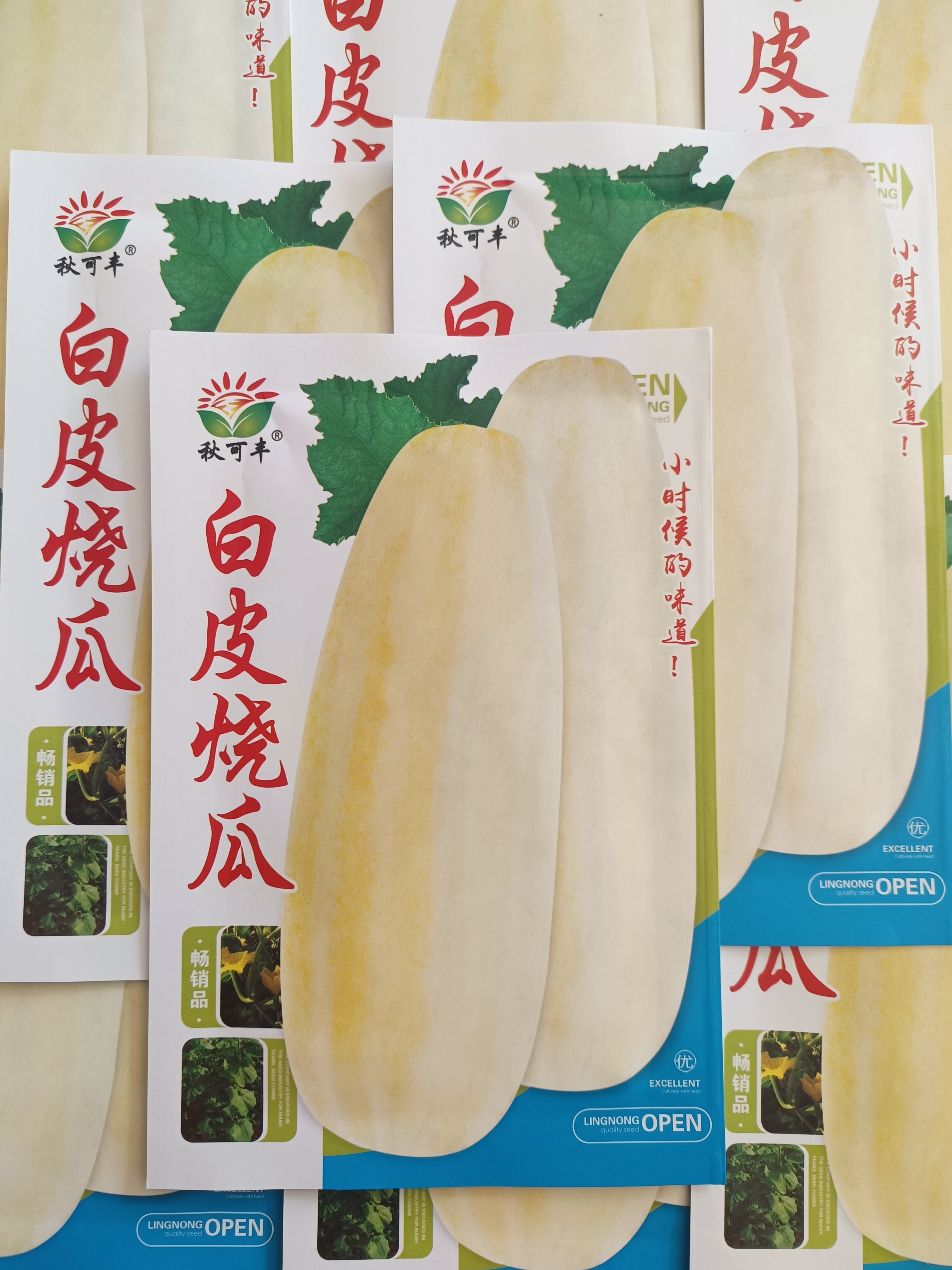 【白皮烧瓜种子】东北老品种烧瓜