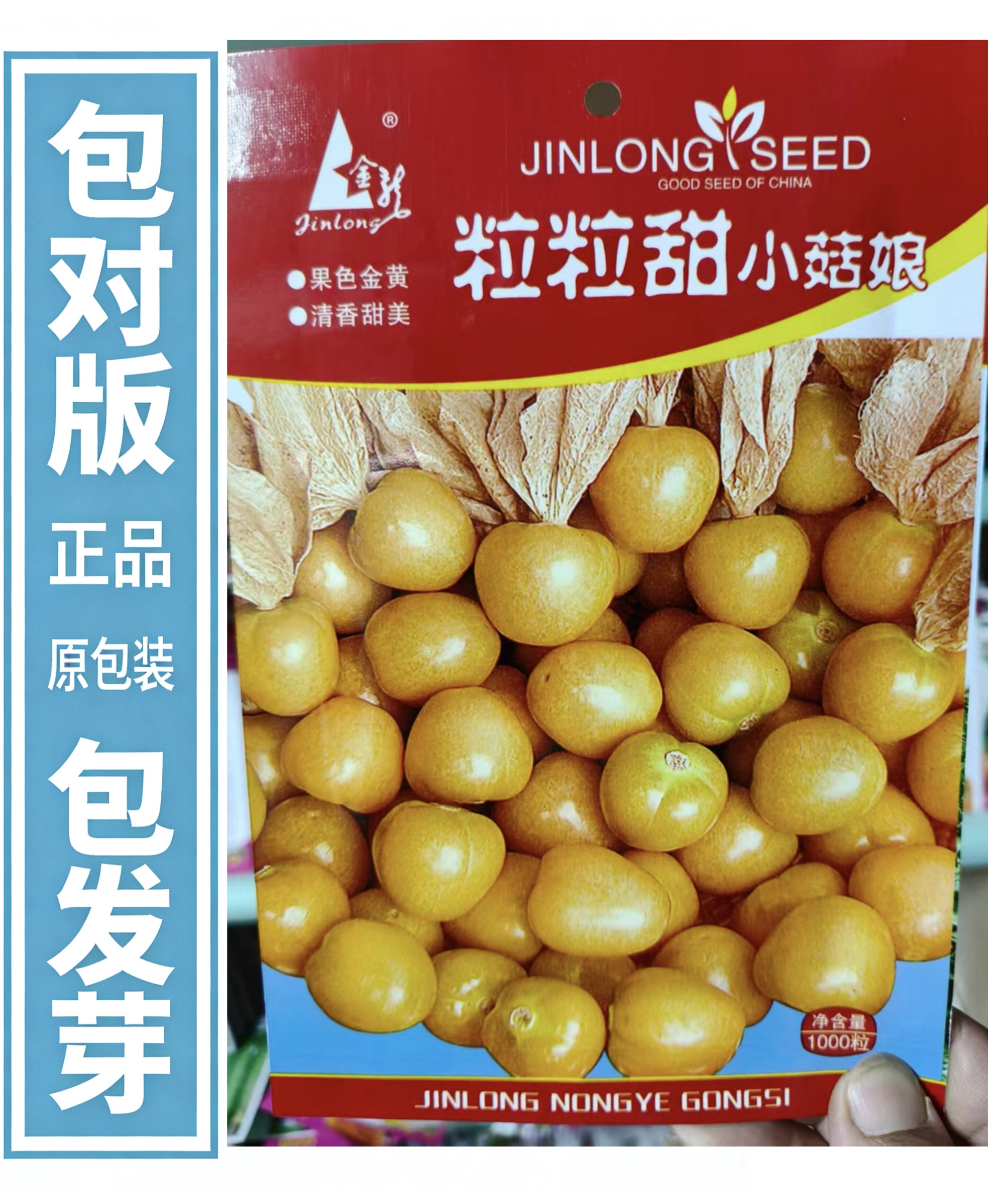 【粒粒甜小菇娘种子】正宗东北小蔬菜种子/种苗