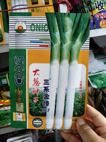三系金棒177大葱种子  山东章丘原种耐寒越冬