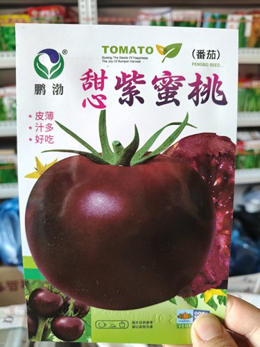 甜心紫蜜桃番茄种子   紫红番茄种子大果甜面起沙