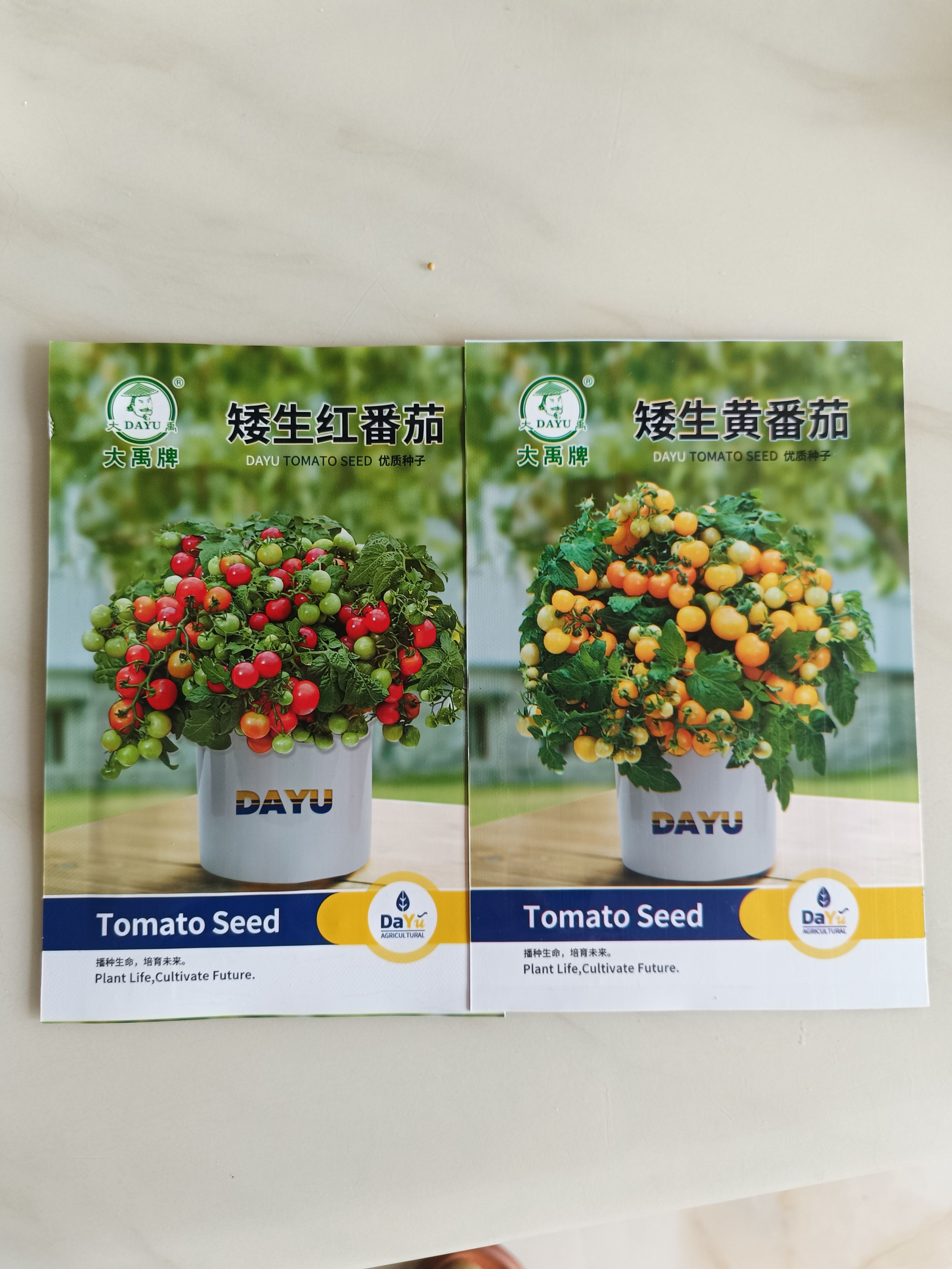 盆栽小柿子种子红色+黄色组合水果番茄