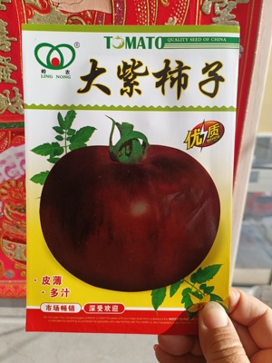 大紫柿子种子番茄大果