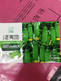 【地爬水果黄瓜种子】不搭架黄瓜包装随机发货