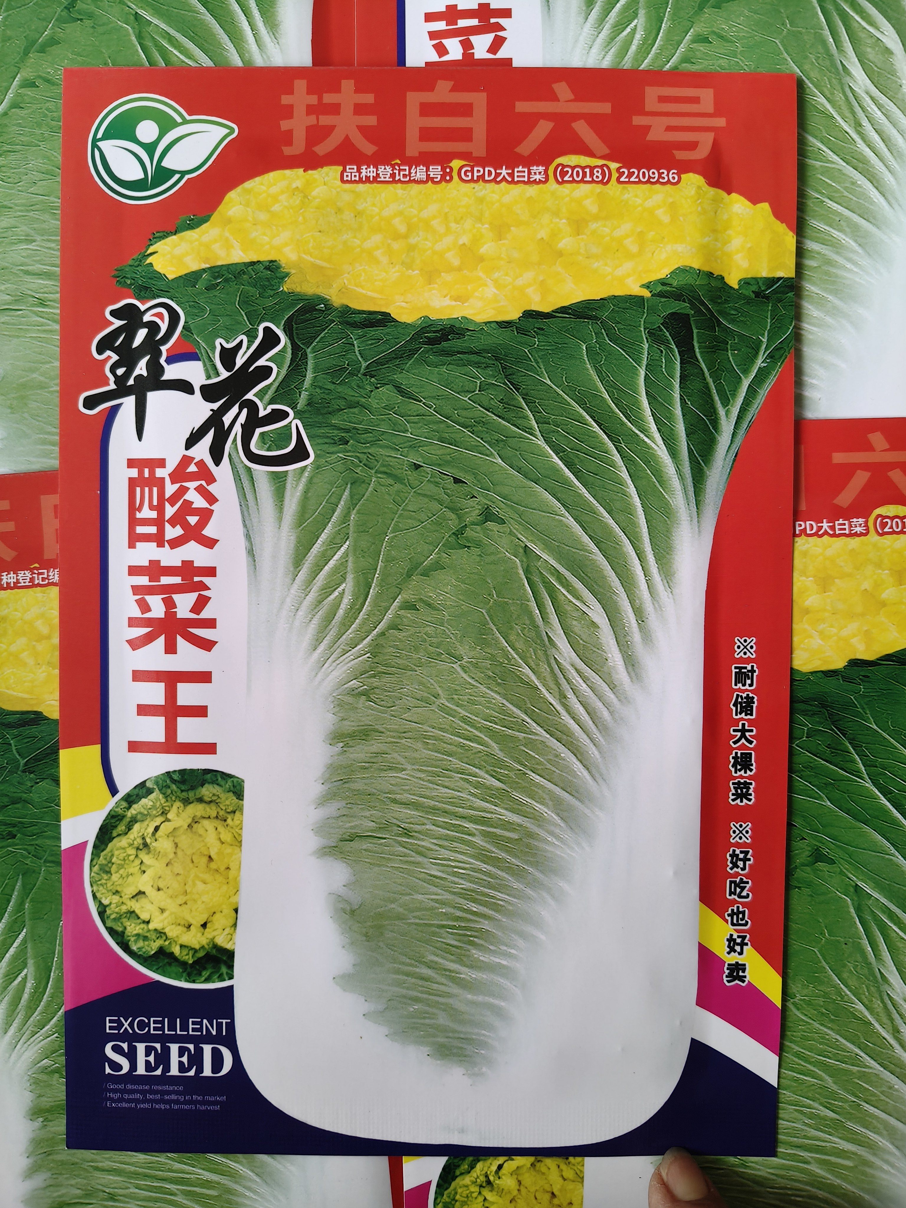 【翠花酸菜王】黄心白菜种子直筒高桩黄心白菜种子秋季腌制酸菜