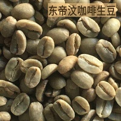 2024新产季东帝汶咖啡生豆