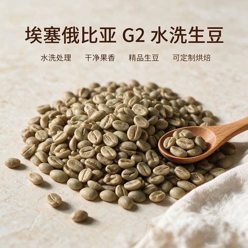 进口埃塞西达摩G2水洗生豆