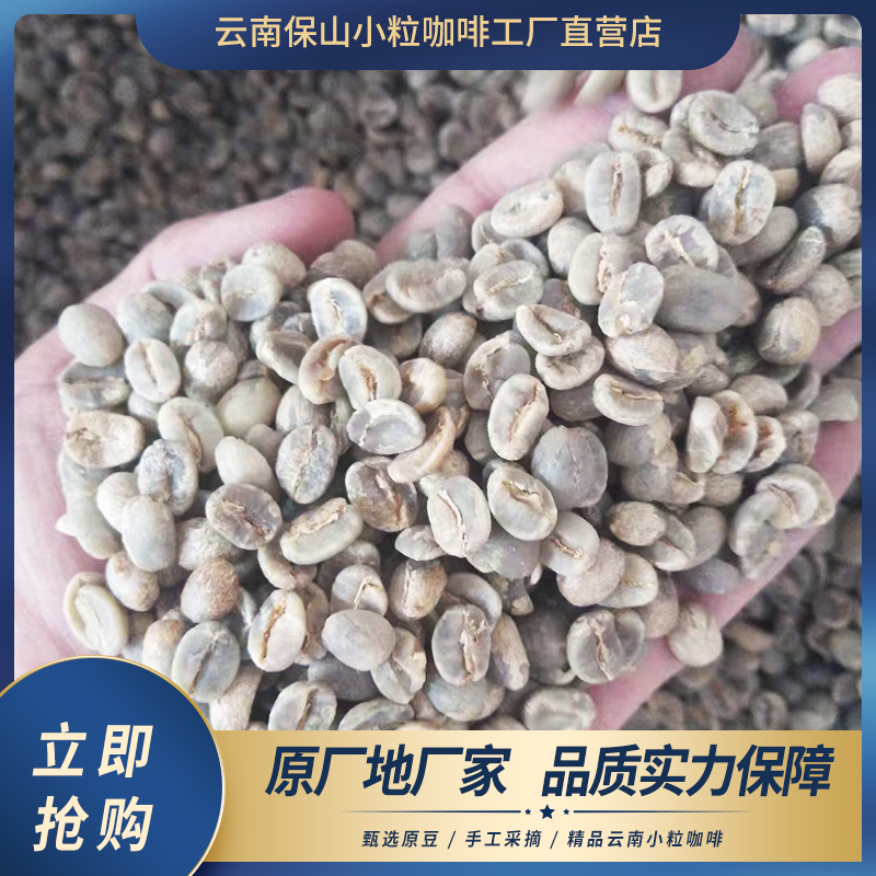 3A级咖啡生豆云南保山香厚浓厚味
