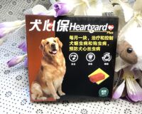 犬心保大型犬体内驱虫药萨摩耶金毛狗狗内服蛔虫打虫药HEARTGARD