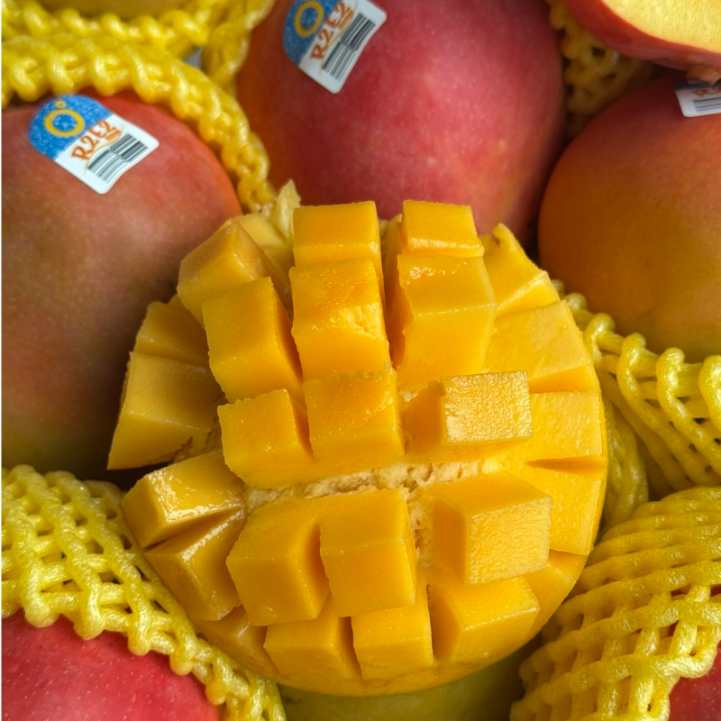 进口澳大利亚芒果r2e2品种正宗澳芒无纤维肉厚香甜顺丰空运