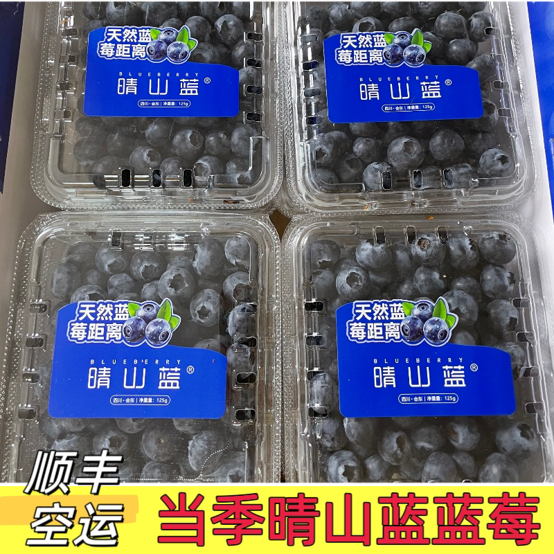 四川晴山蓝蓝莓高山蓝莓花香蓝莓当季新鲜水果脆甜125g/盒发顺丰