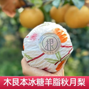 包邮 现货木艮本冰糖羊脂秋月梨礼盒装 8个大果冰糖梨水润甜顺丰