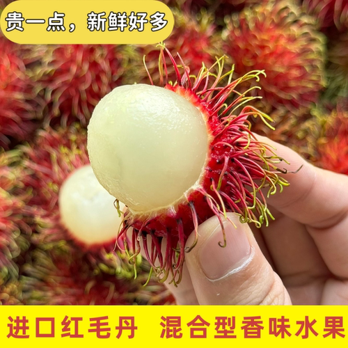 泰国红毛丹泰国红毛丹水果新鲜毛荔枝当季热带水果