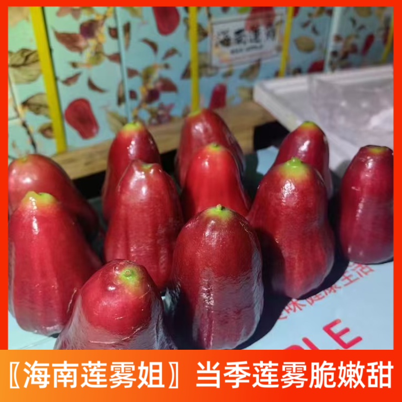 〖莲雾姐〗海南莲雾新鲜水果莲雾果热带雾莲当季孕妇水果,水产肉类/新鲜蔬果/熟食,莲雾,淘宝优惠券,粉丝福利购,淘宝优惠卷