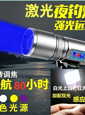 钓鱼激光炮强光夜鱼灯专用电简