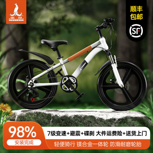 凤凰6-10岁儿童山地车碟刹变速