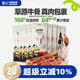 蒙贝手抓牛排80g 狗狗零食磨牙棒磨牙骨泰迪金毛洁齿肉骨头 10袋