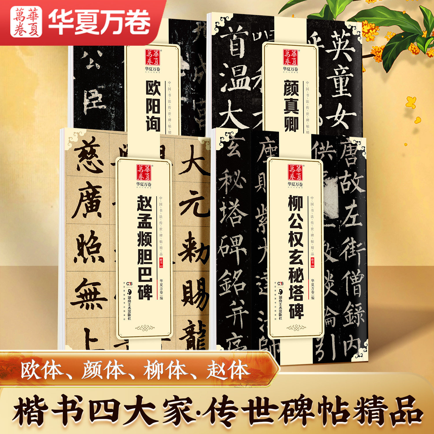 【楷书四大家碑帖】欧体颜体柳体赵体毛笔楷书中楷初学者入门赵孟頫胆巴碑柳公权玄秘塔碑颜真卿颜勤礼碑欧阳询九成宫醴泉铭原碑帖 - 实物图