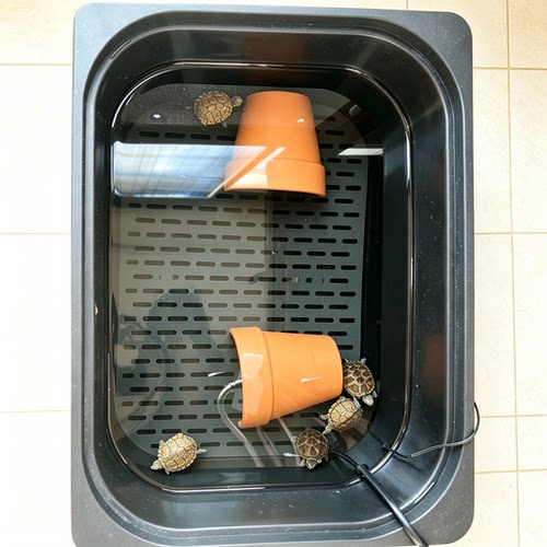 舒法特沉淀板乌龟养殖底滤板发色盒红面龟窄桥龟饲养盒隔离盒带