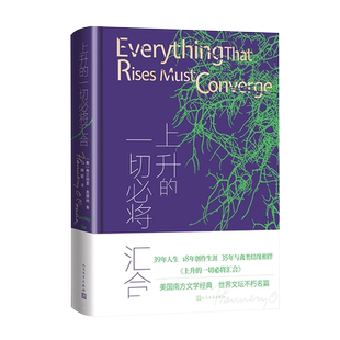 上升的一切必将汇合美弗兰纳里奥康纳著韩颖新译经典天竺葵好人难寻辛格自选集短篇小说美国南方文学福克纳哥特小说人民文学出版社