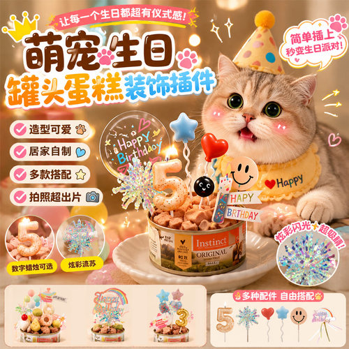 给猫咪不一样的生日体验