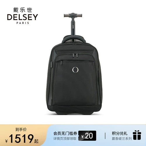 DELSEY Чемодан подходит для мужчин и женщин для путешествий, износостойкий ноутбук, рюкзак, бизнес-версия