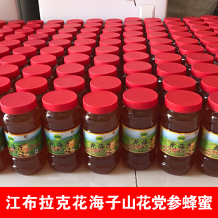 江布拉克花海子蜂蜜 花海子野山花党参蜂蜜 农家自产1000g/瓶