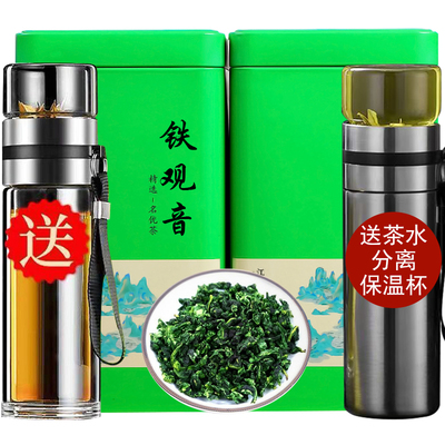 安溪铁观音特级罐装500g送分离杯