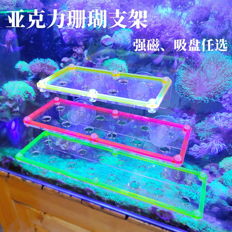 磁吸亚克力透明珊瑚繁殖支架