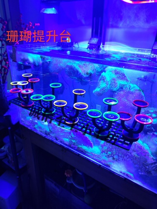 Fluorescent Luminous Coral Lifting Bench Base Marine Tank Coral Limb Breeding Bracket Improves Heightness and Landscaping Ornament Rack
