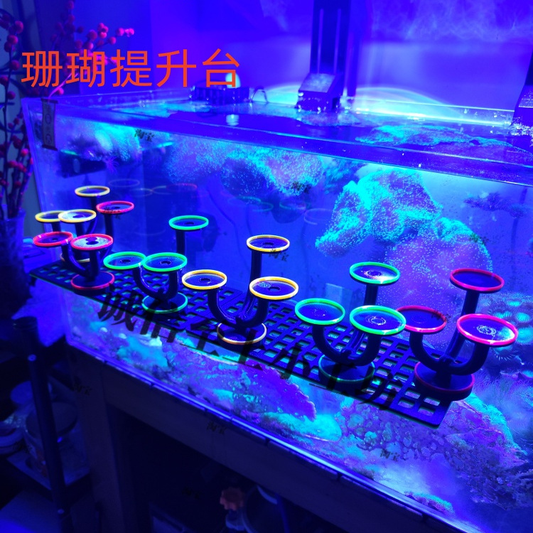 荧光珊瑚基座架提升造景繁殖支架
