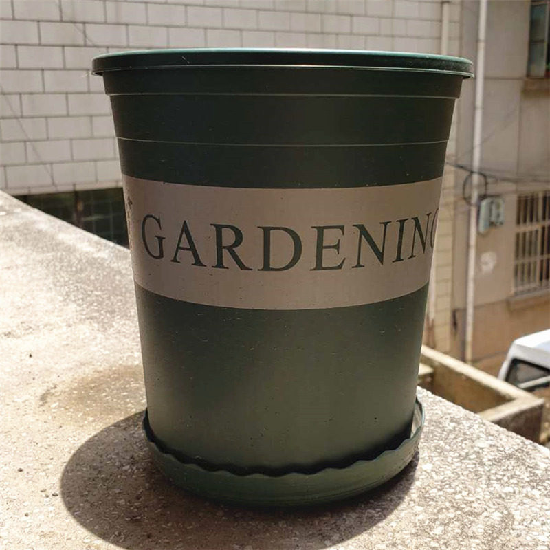 加仑盆绣球花盆多肉植物加厚长寿花月季通用塑料花盆阳台花园适用,鲜花速递/花卉仿真/绿植园艺,花盆,淘宝优惠券,粉丝福利购,淘宝优惠卷