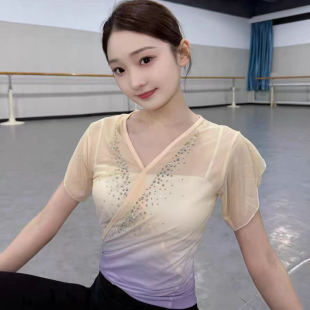 班服 艺考身韵成人女舞蹈短袖 新款 古典舞练功服基训纱衣北舞同款